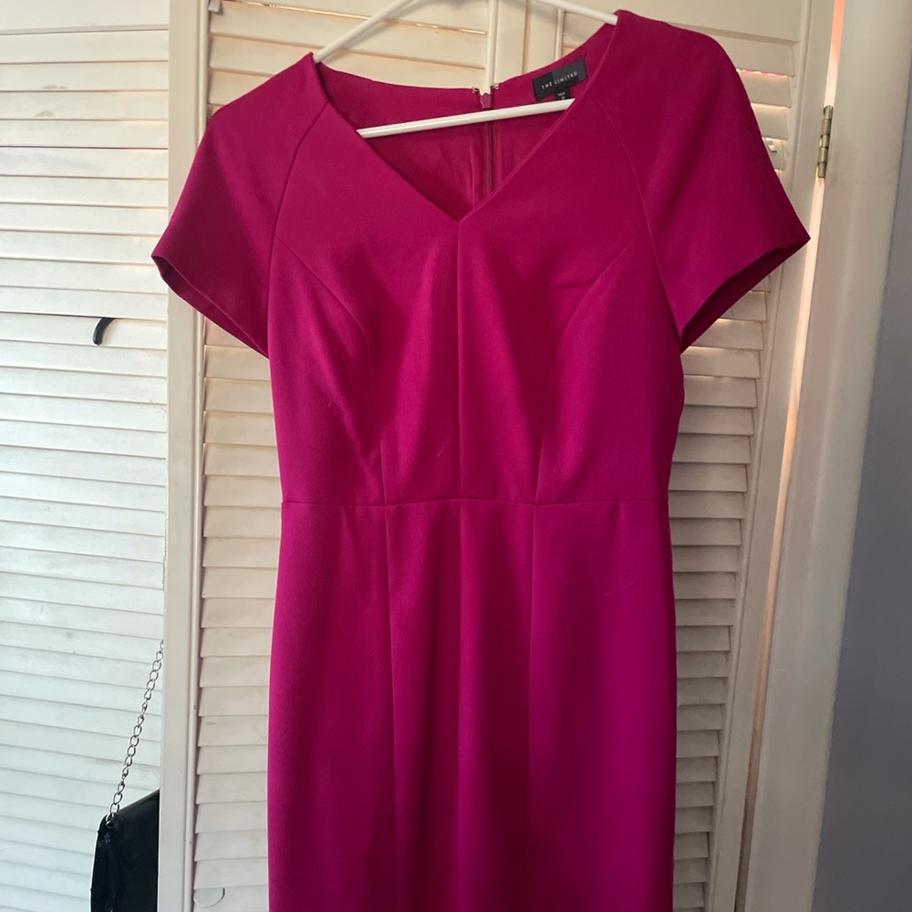 NWOT The Limited Dress